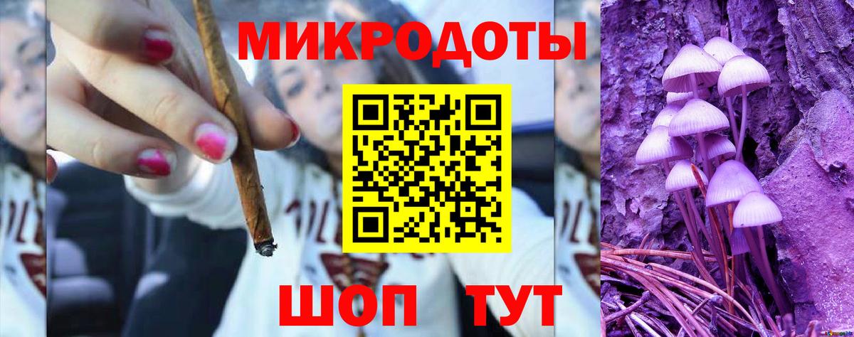 Муром  Псилоцибиновые грибы Cubensis  Вход с VPN 